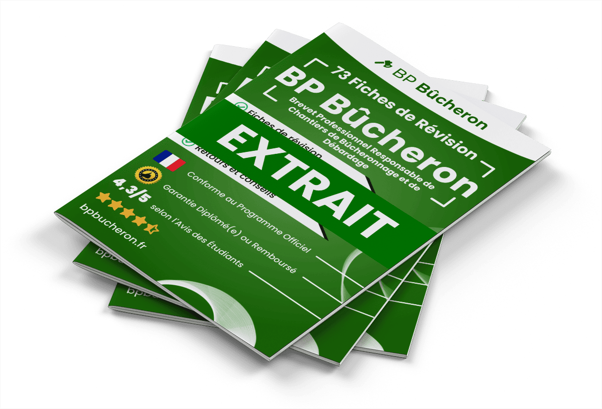 Extrait Fiches Révision gratuites BP Bûcheron